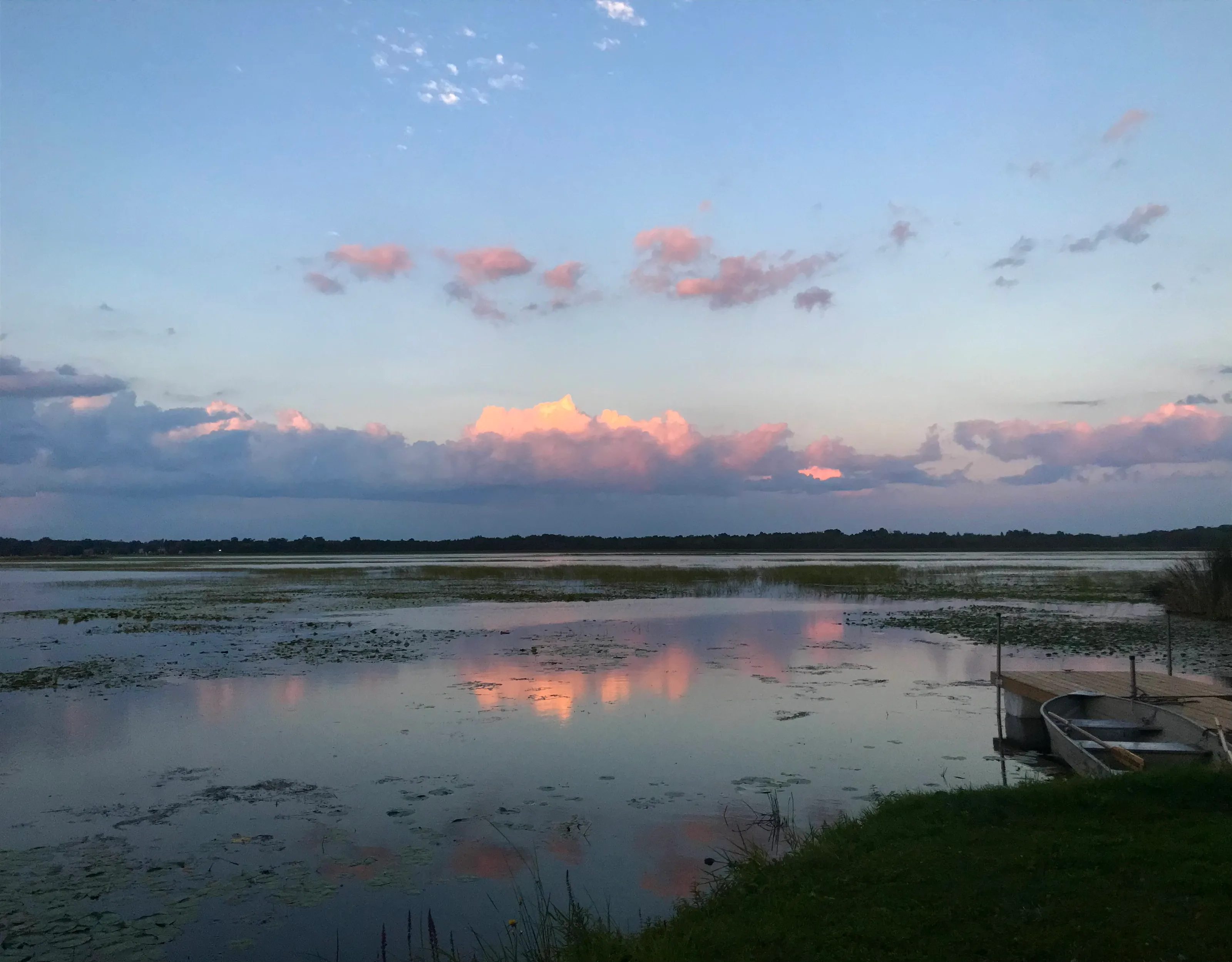 Pink clouds