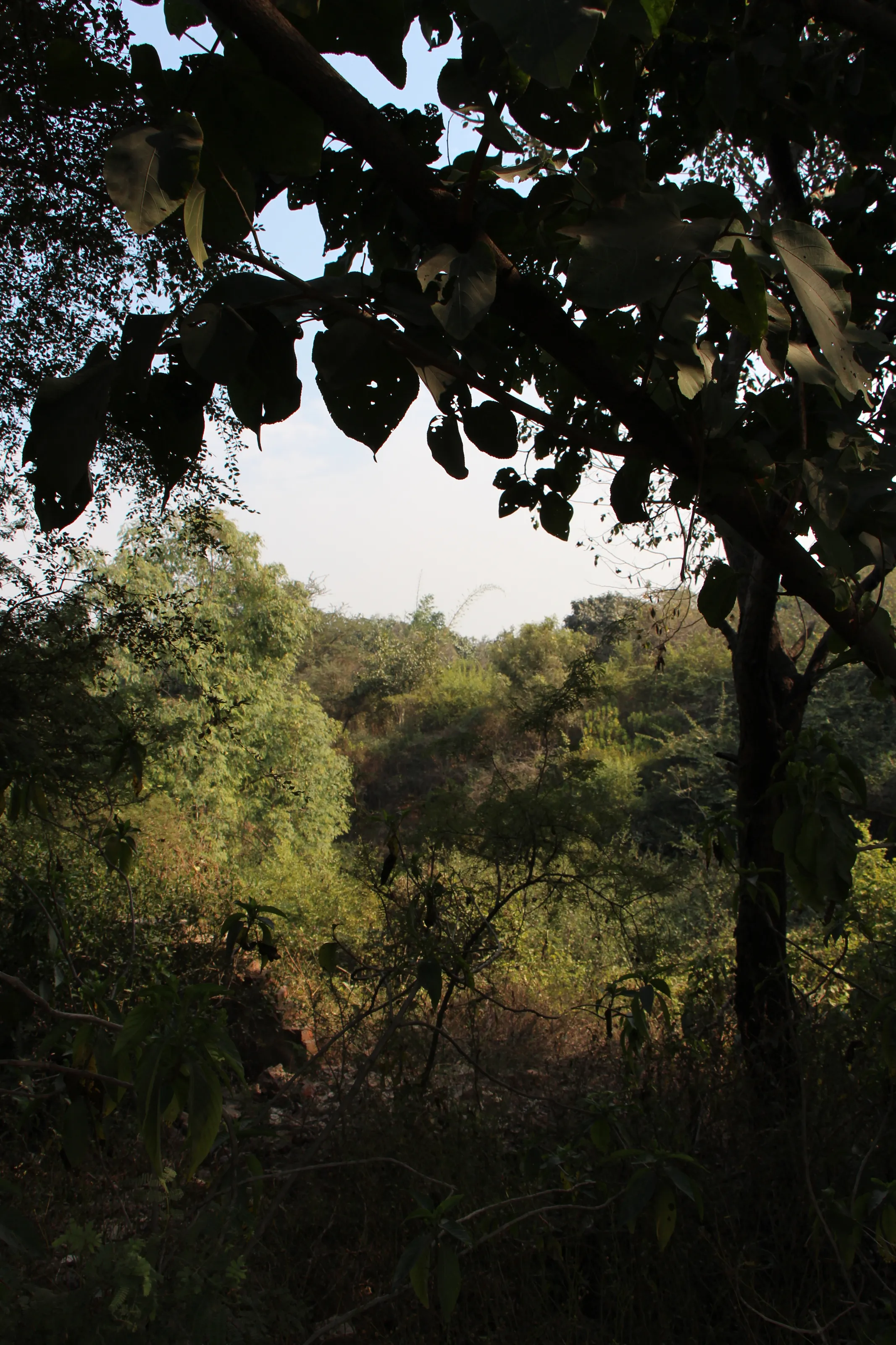 Through the Nature’s APERTURE