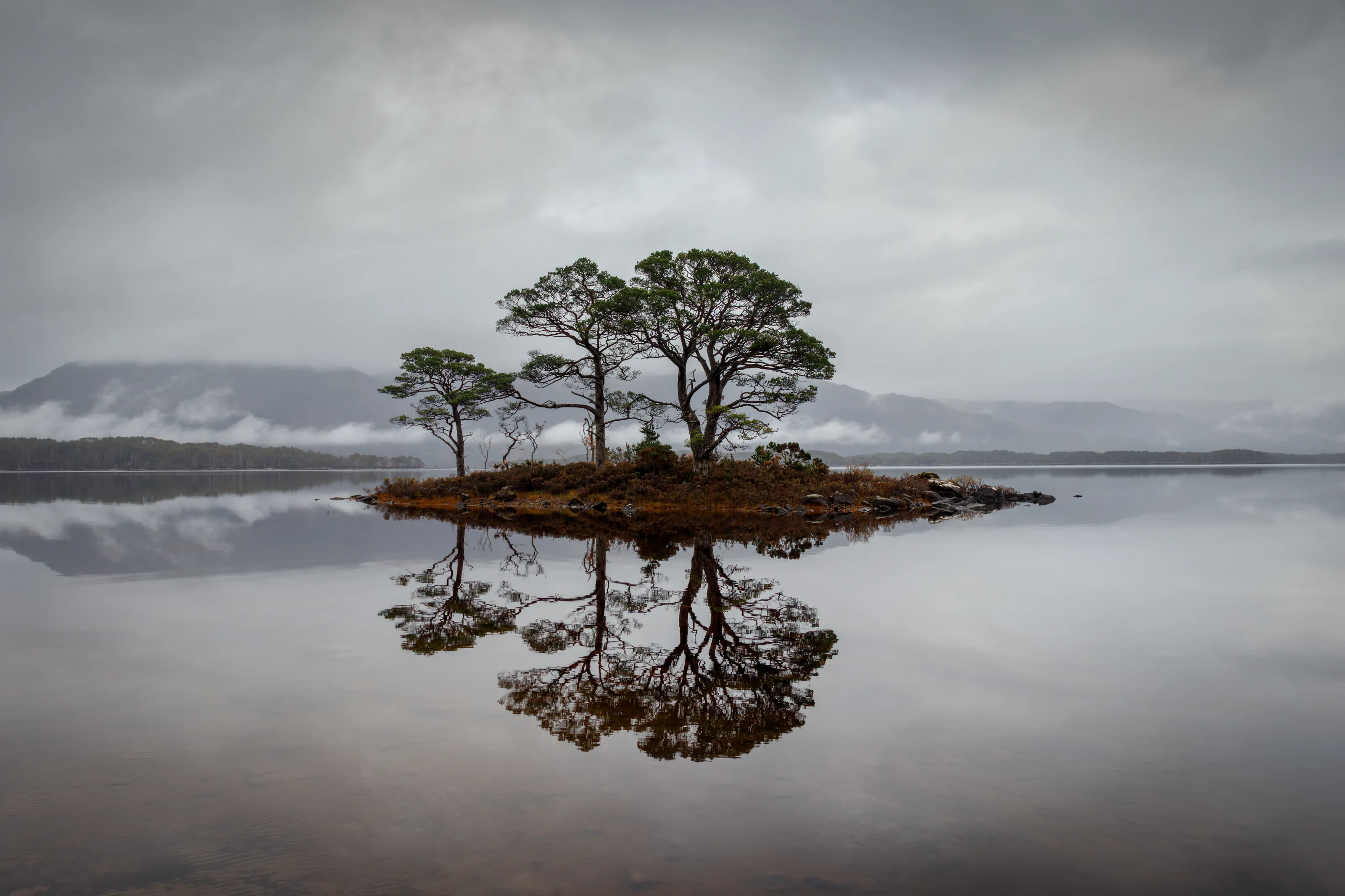 Tranquil Isle