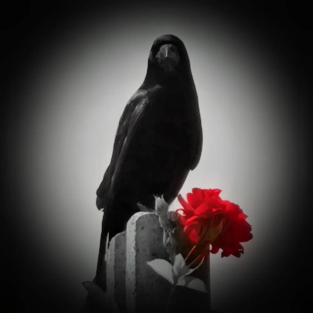Crow & Rose