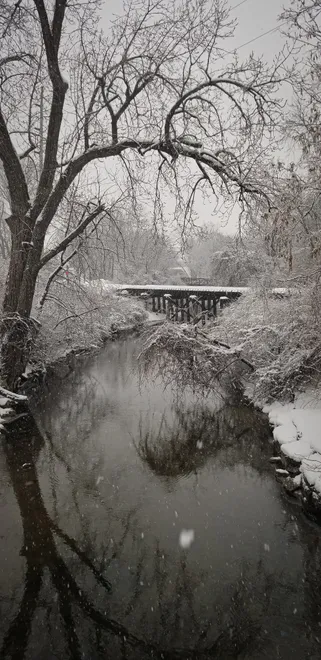 Winter Bridge