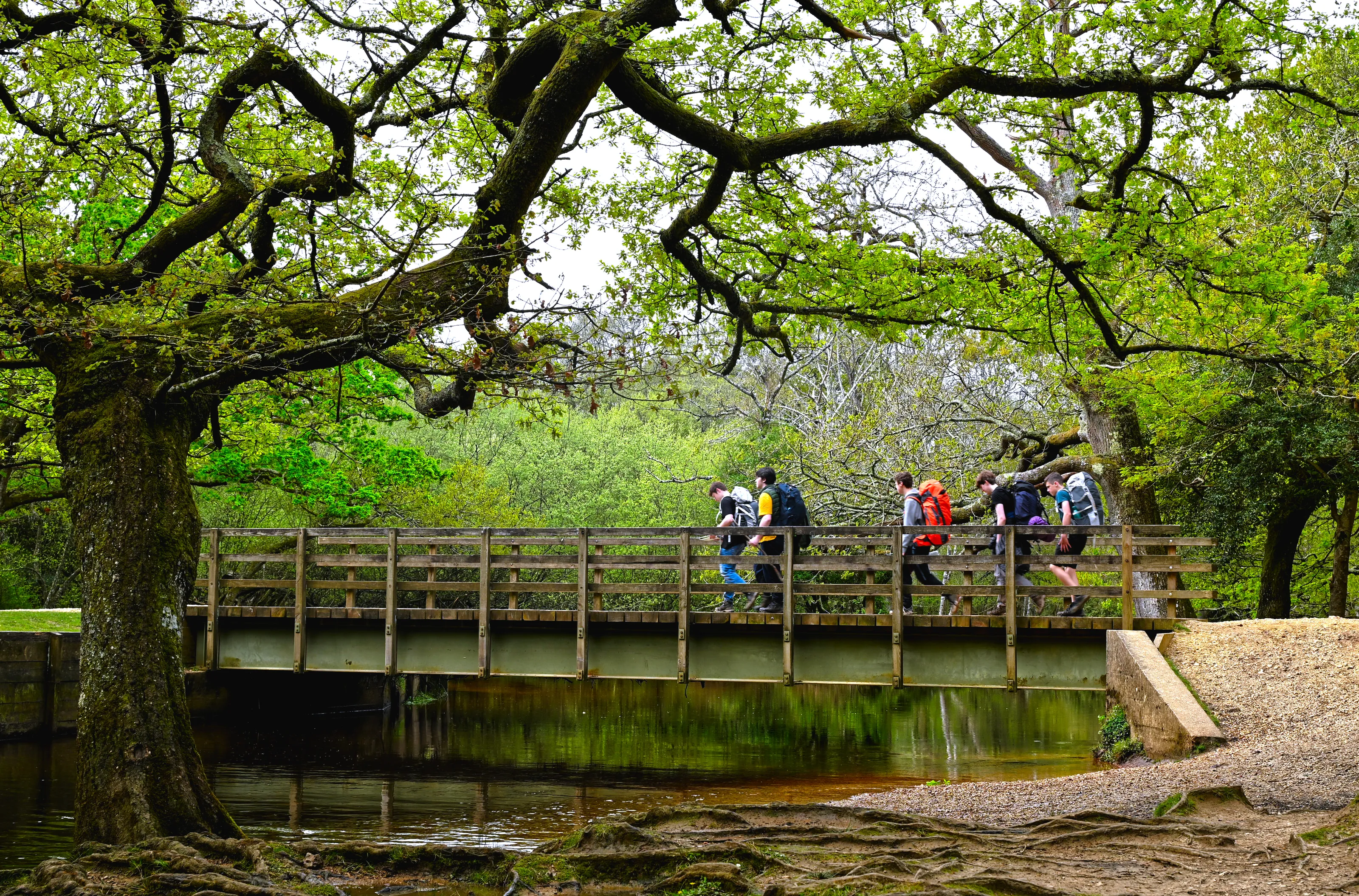 DofE walkers