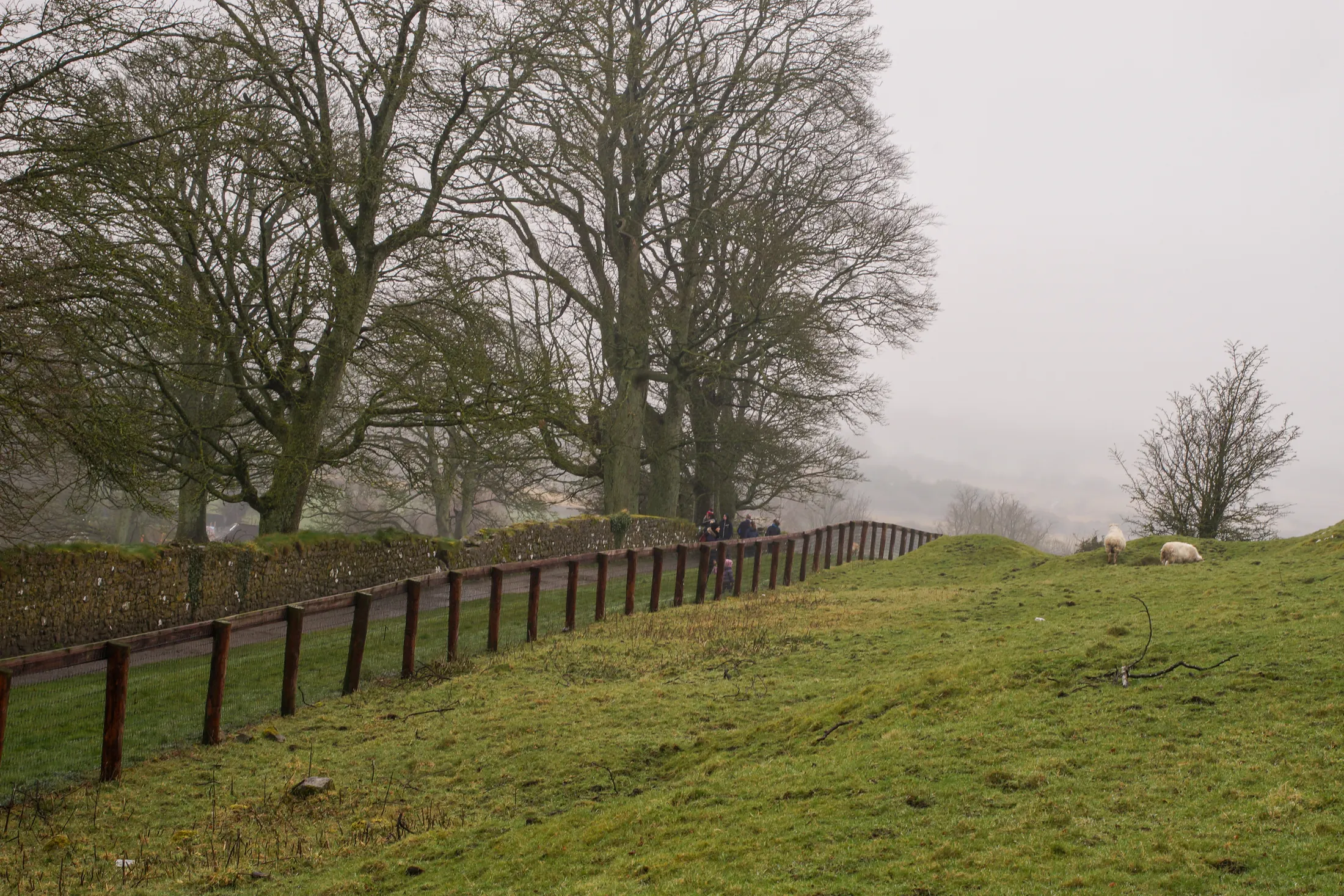Mist over the Dales
