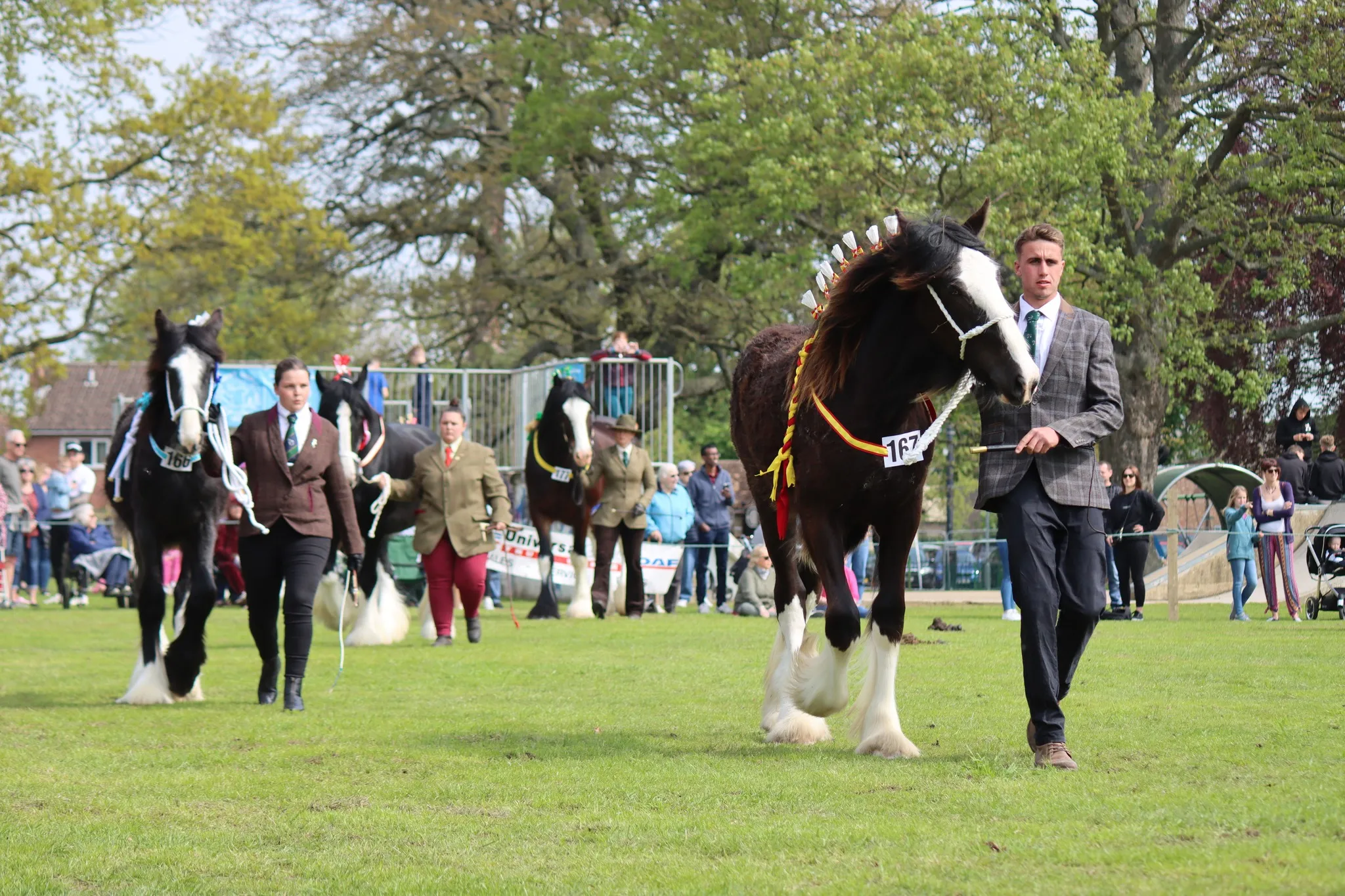 Horse Show Events