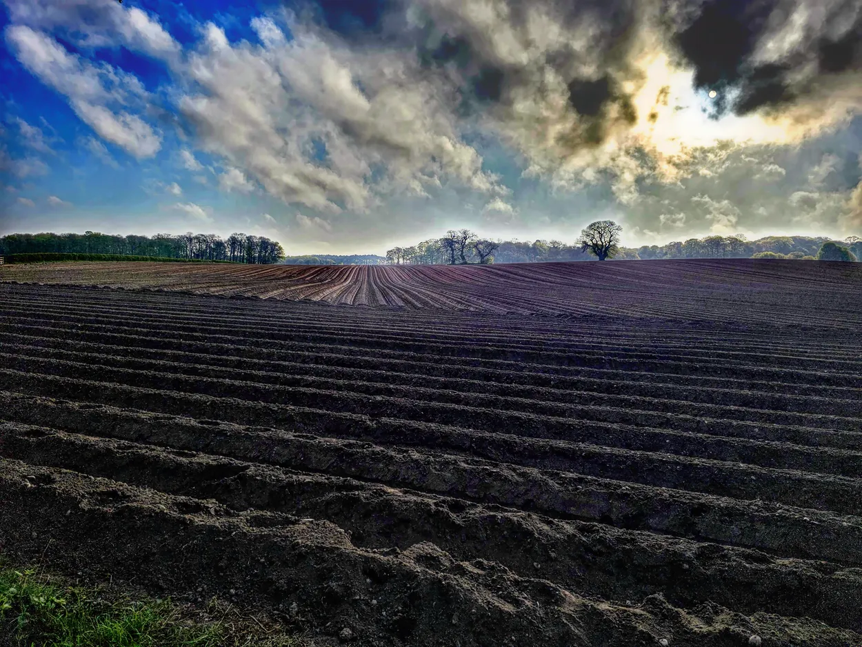 Isolated landscape