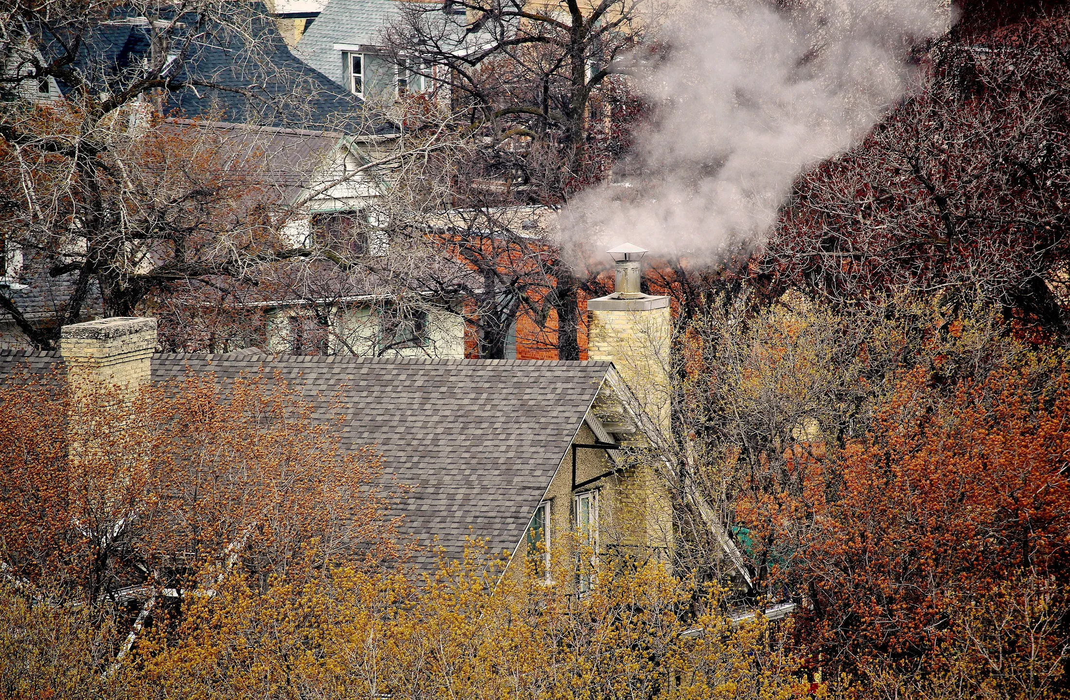 Rooftops in Autumn