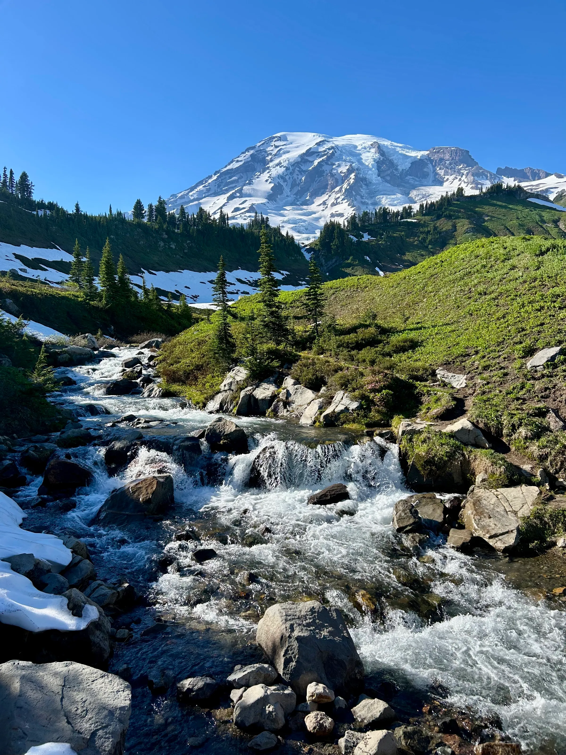 Mt. Ranier