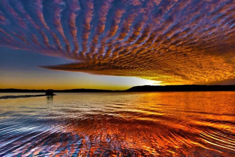 Dreamscape