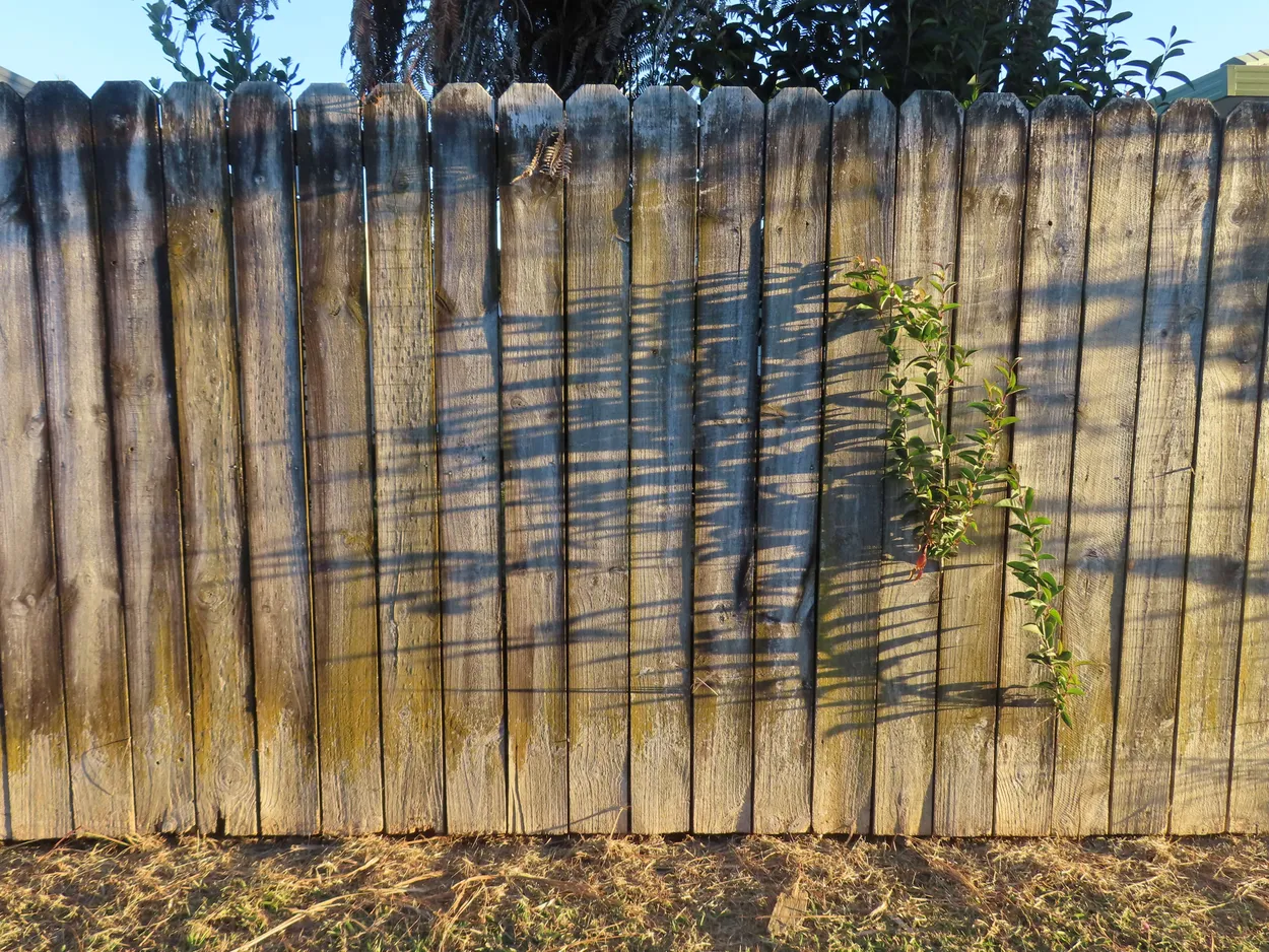 Shadowed fence