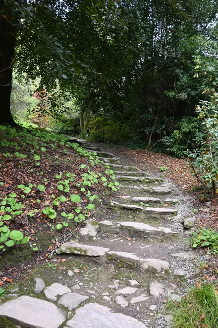 Onwards And Upwards