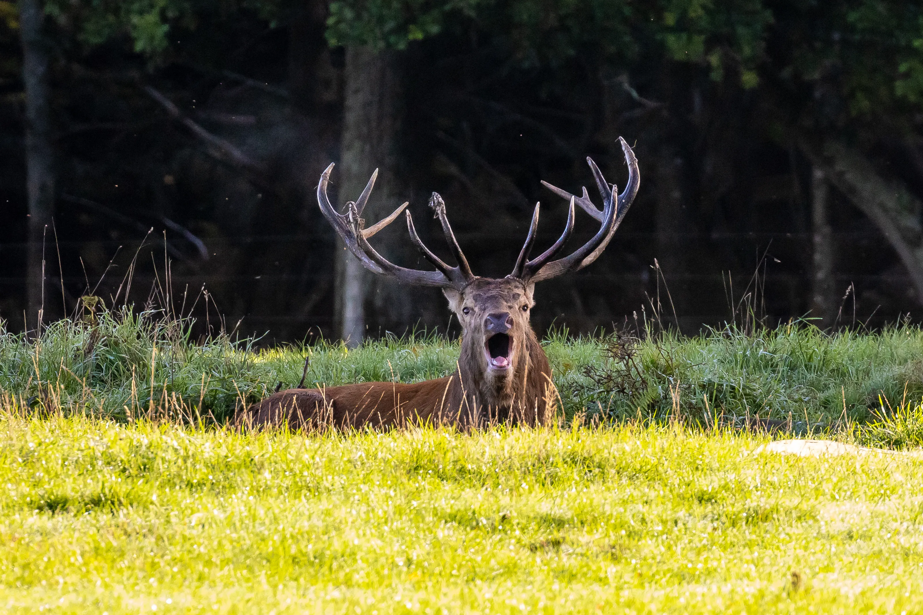 You are in my back yard!!!