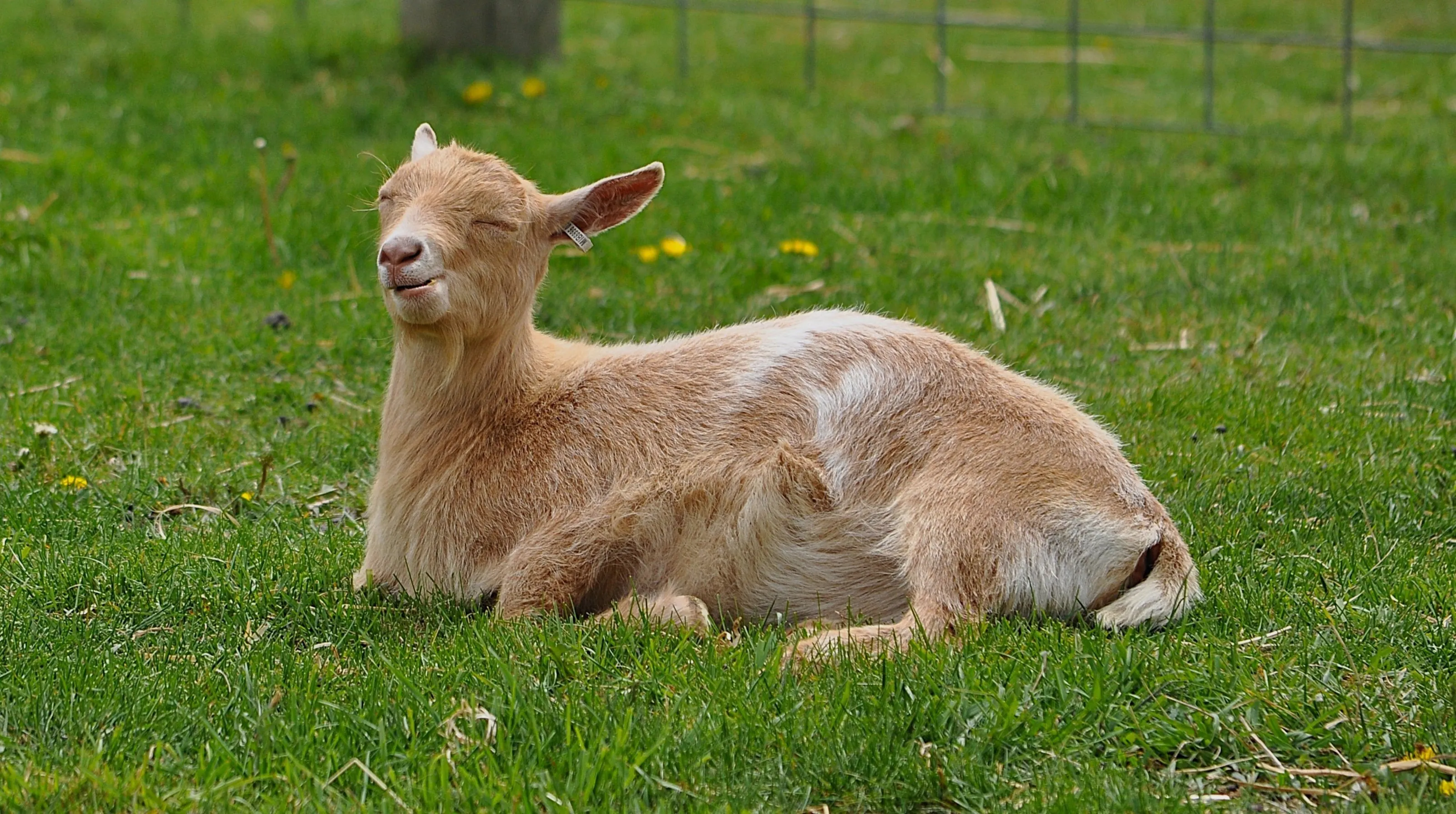 Enjoying the sun