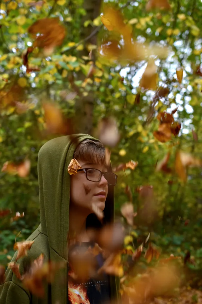 Leaves