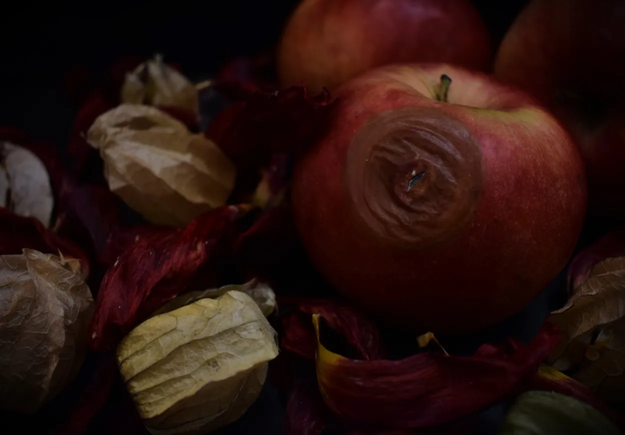 Apple and phisalys