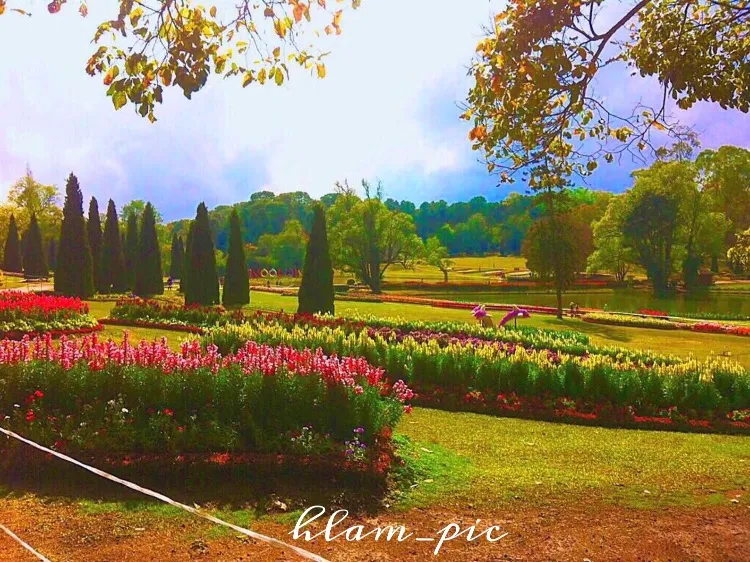 Landscape View Of A Gardens