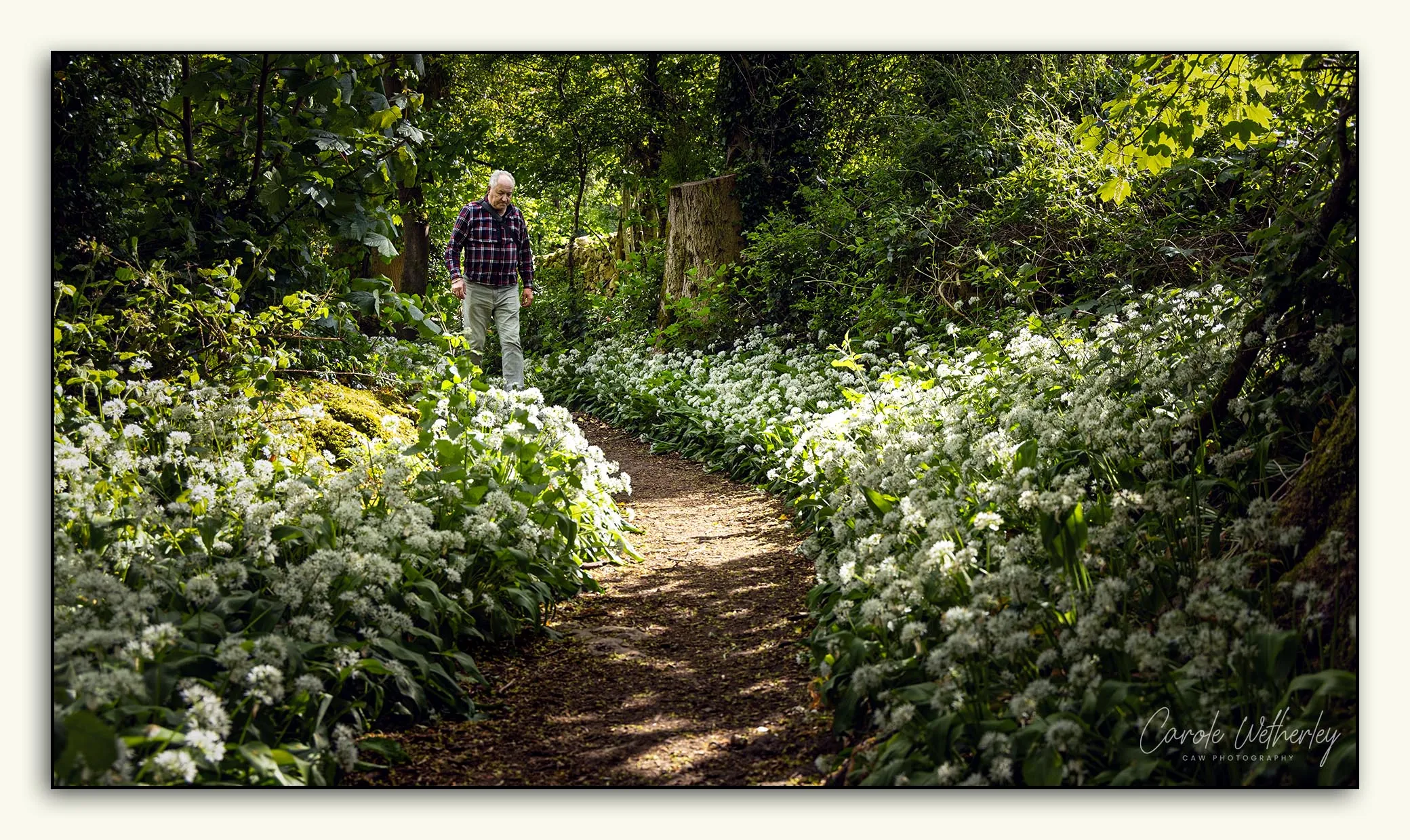 Walk the Wild Garlic Path