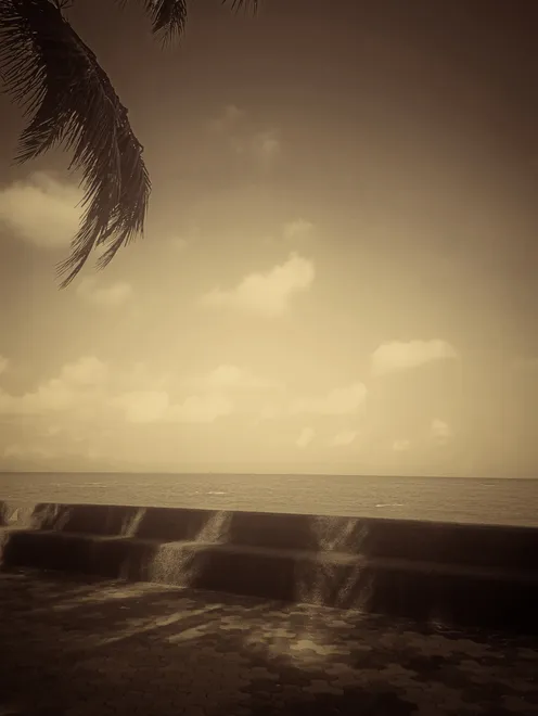 Seashore