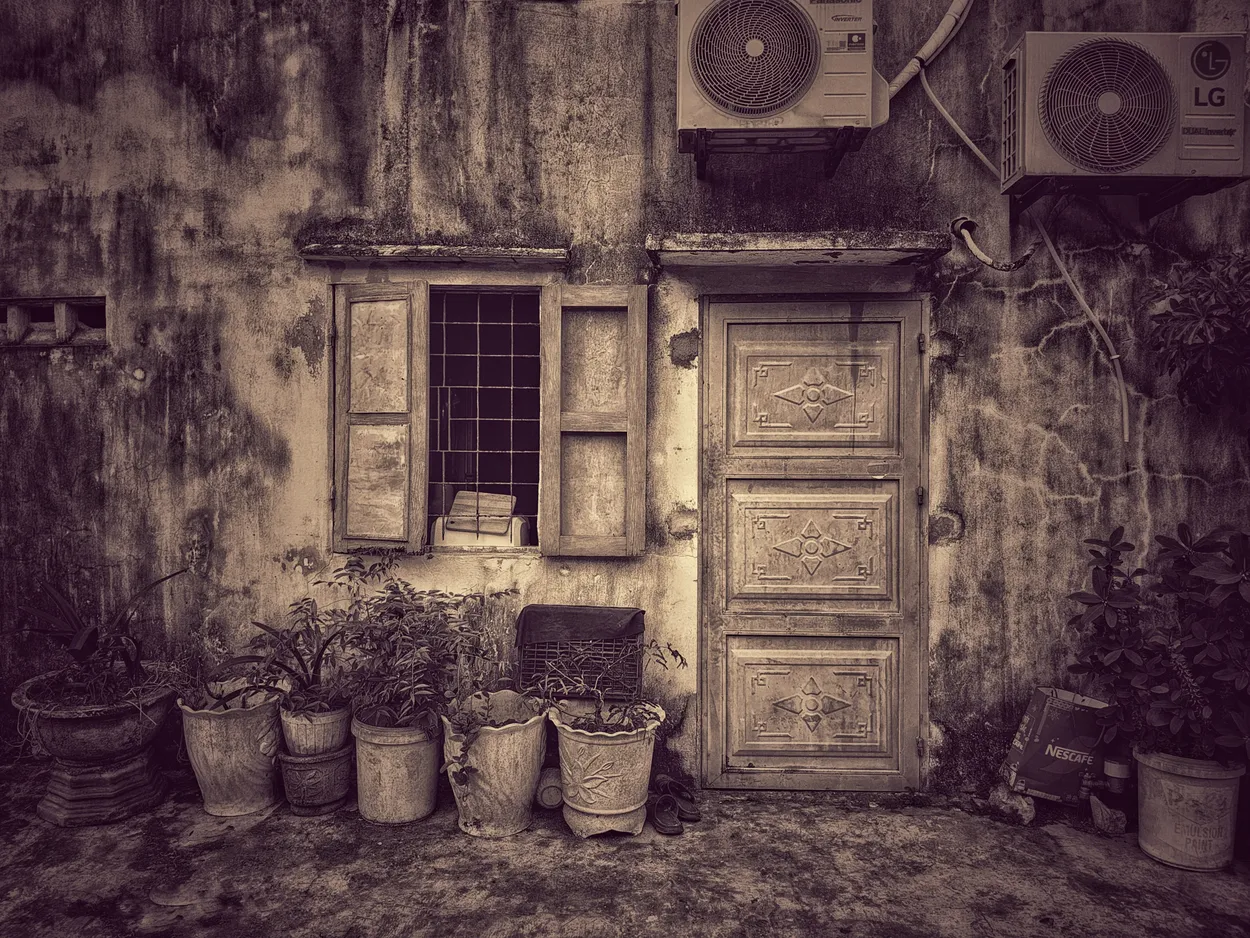 Rustic House
