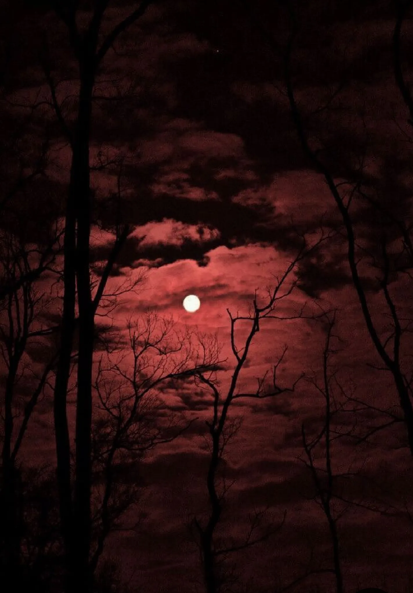 Cryptic sky