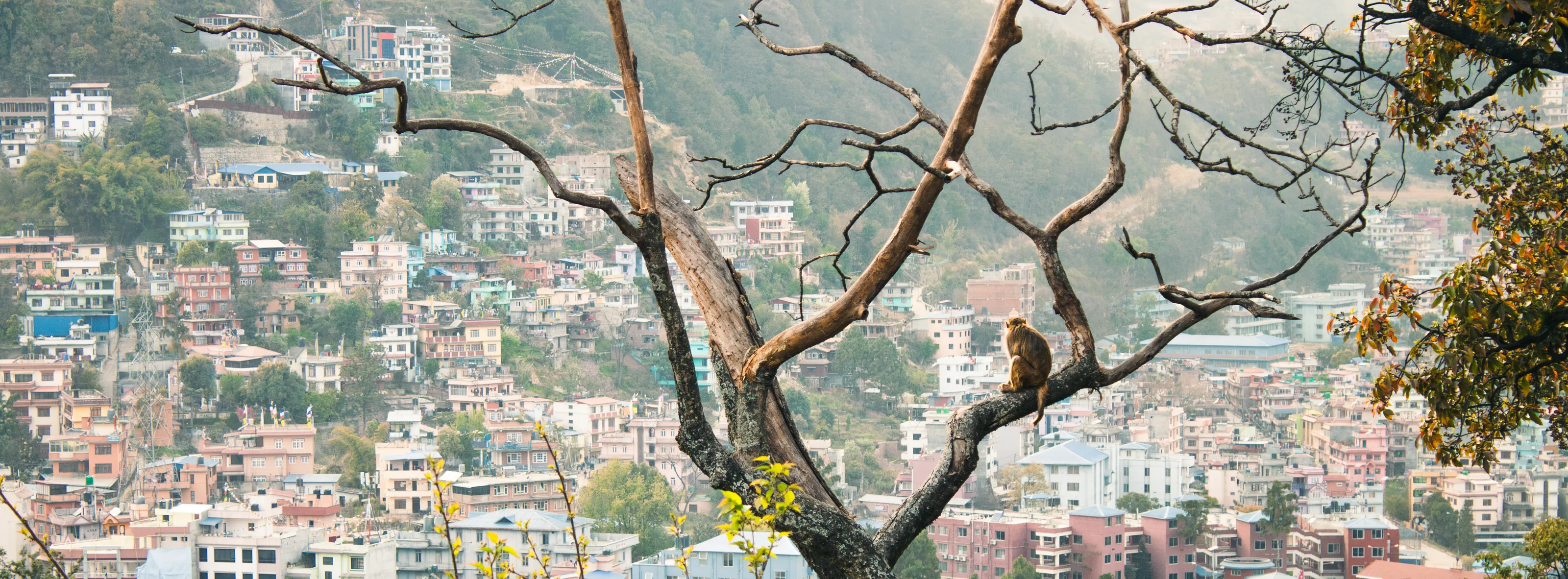 Nepal view