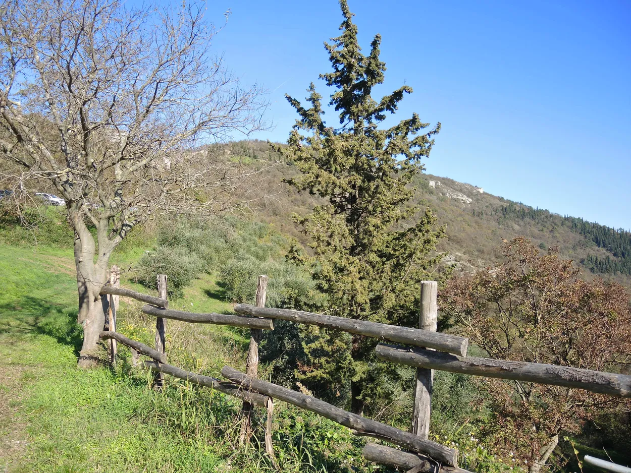 Fence on hill.