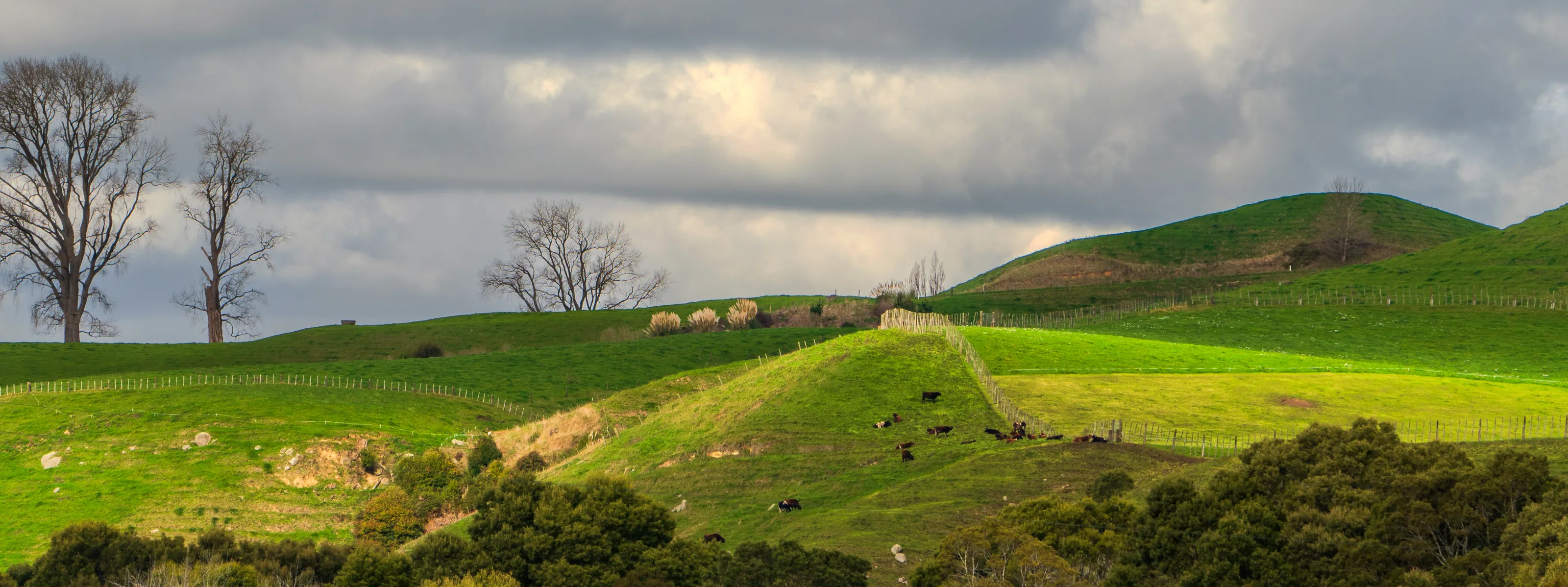 The Quiet Countryside