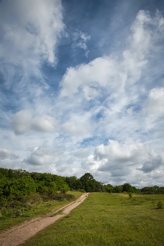 Big Sky