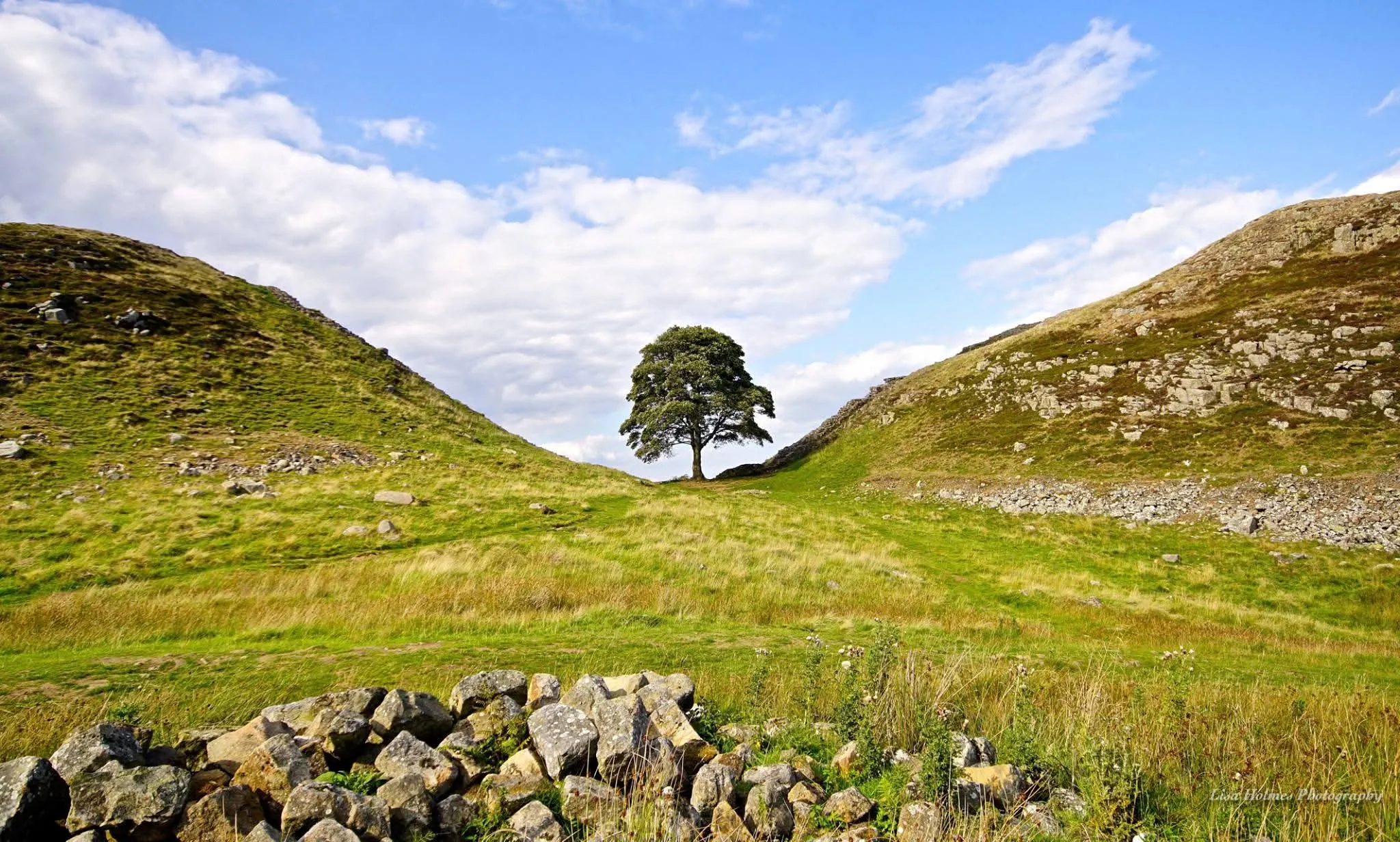 Memories of Sycamore Gap