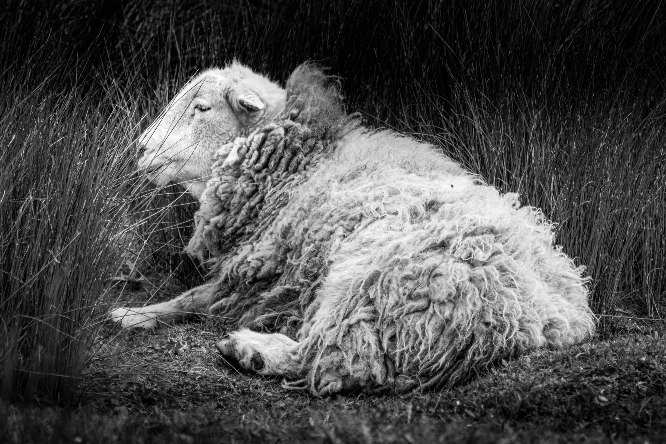 Weathered Silence