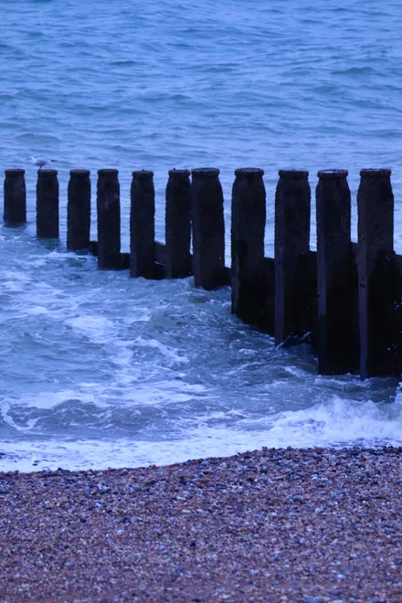 Tide