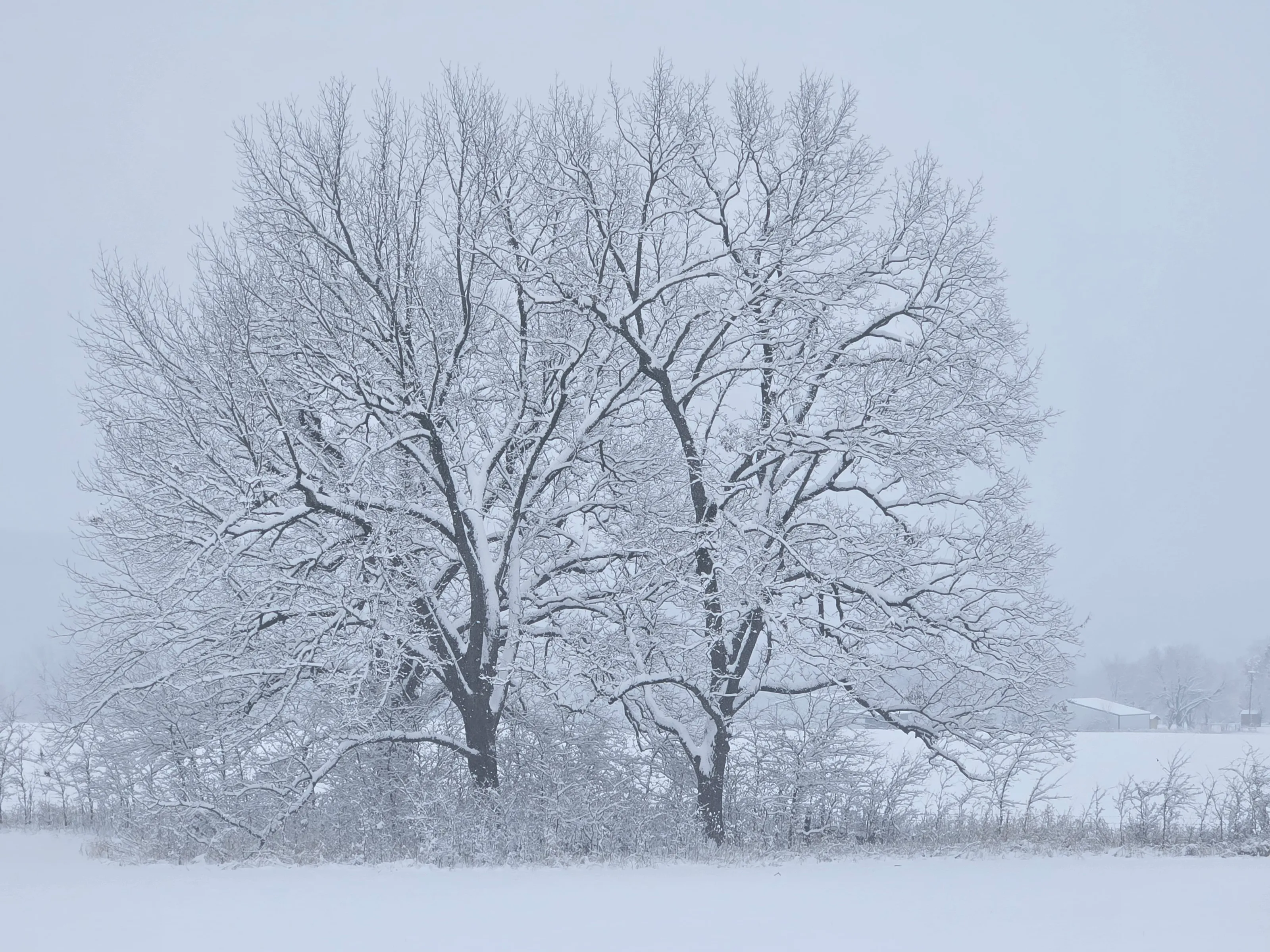 Frozen in Time