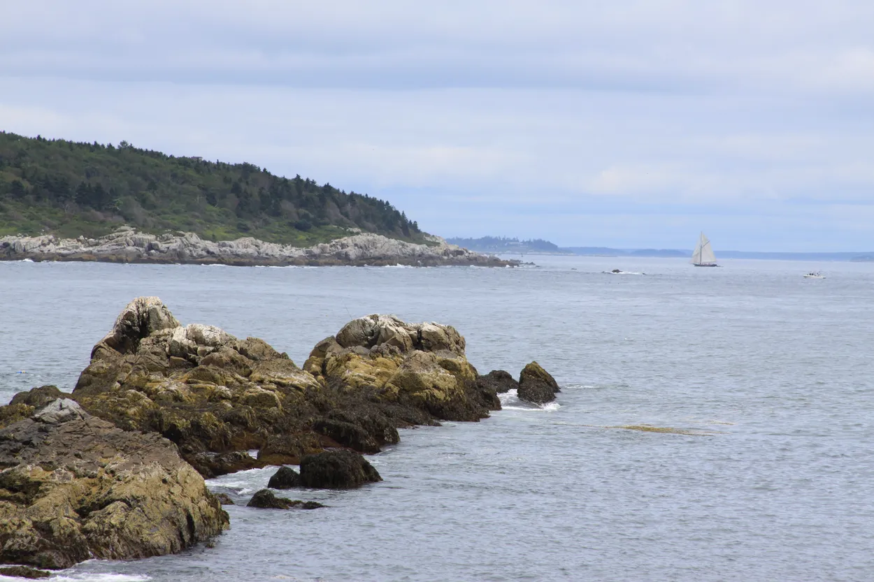 Water at the Rocky Shore