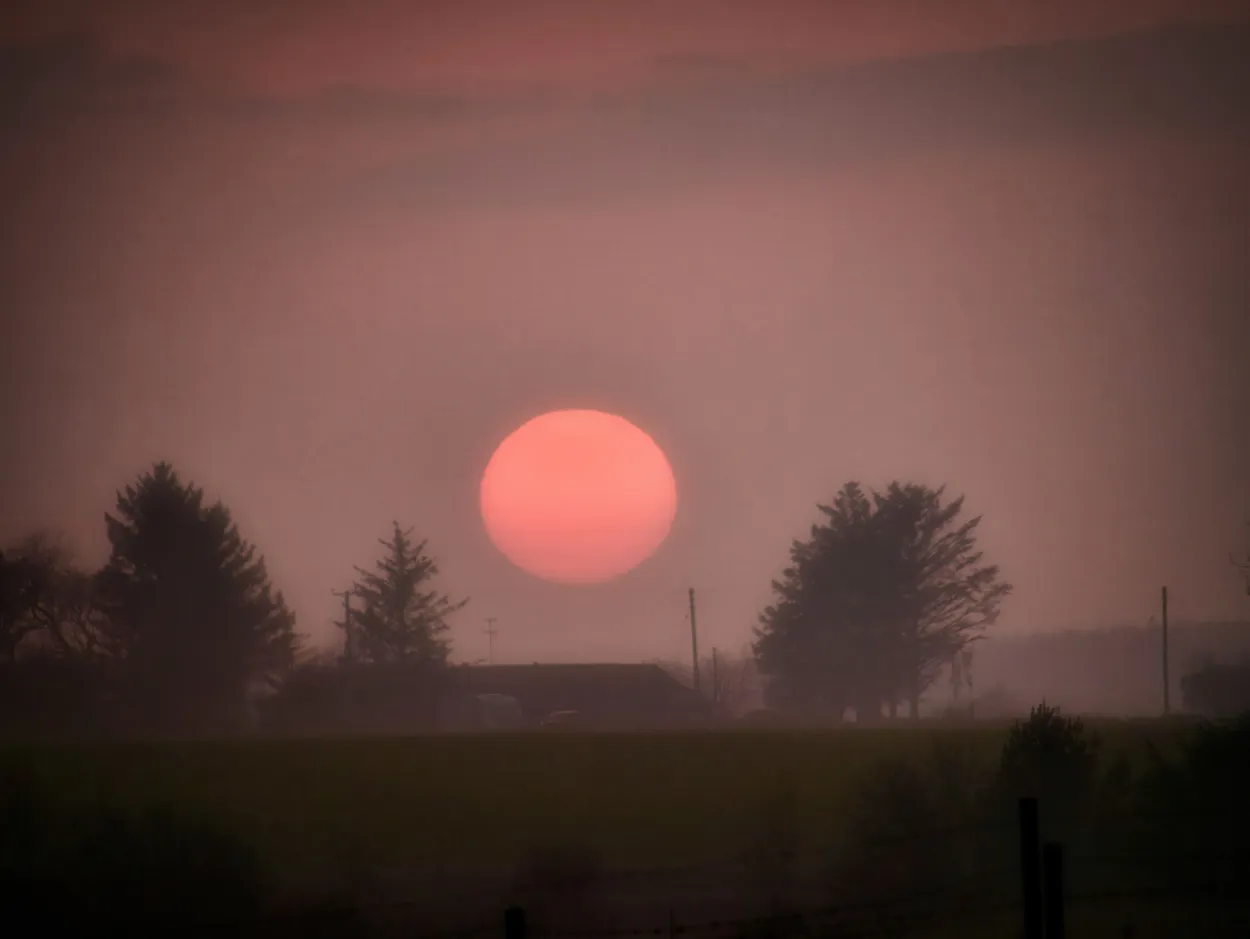 Misty Sunset