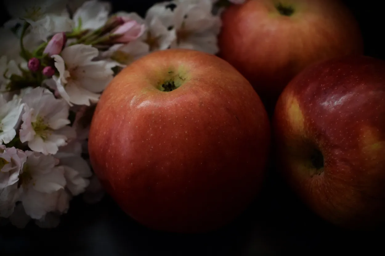 Apples and japanese cherry flowers