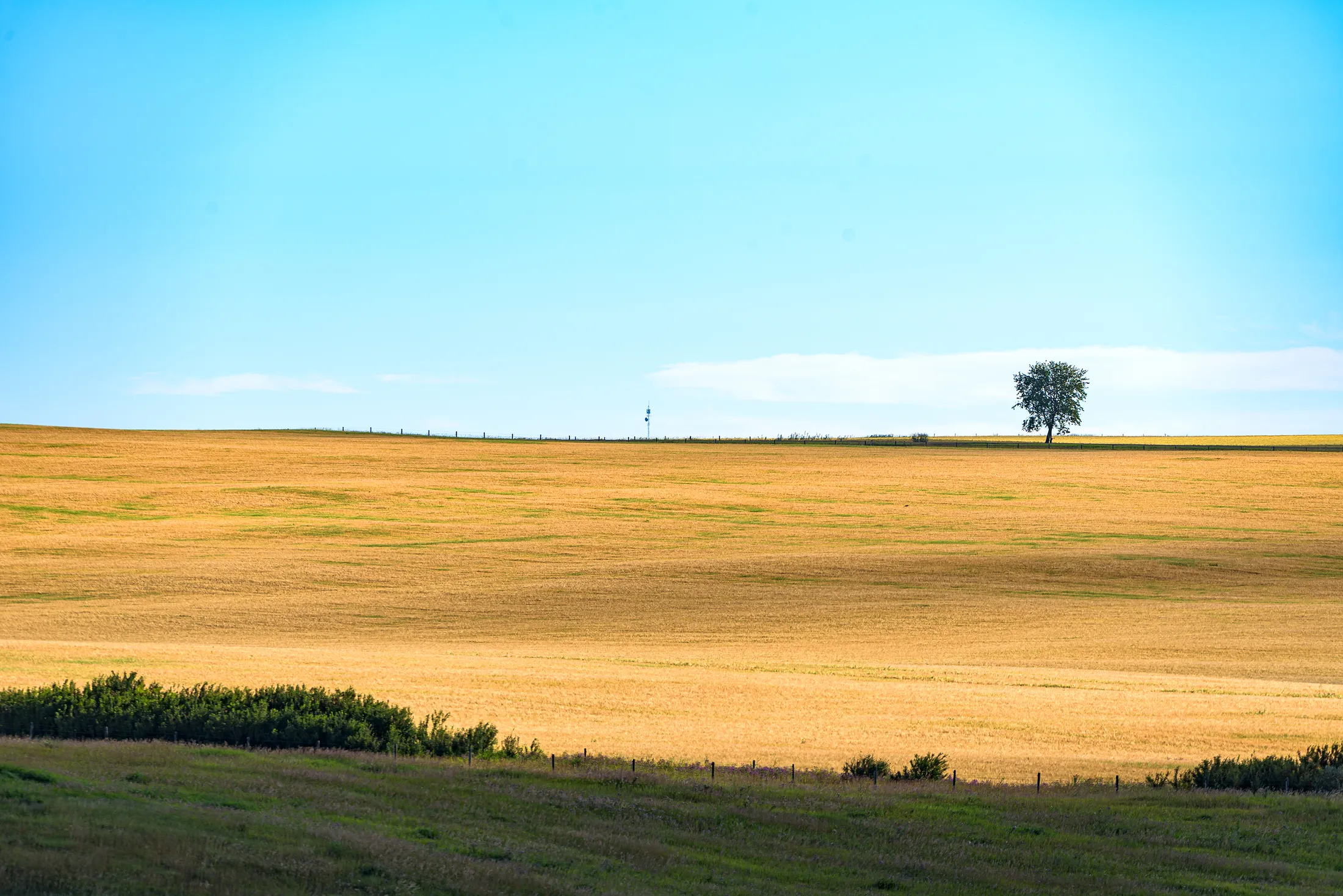 Alone in the Countryside