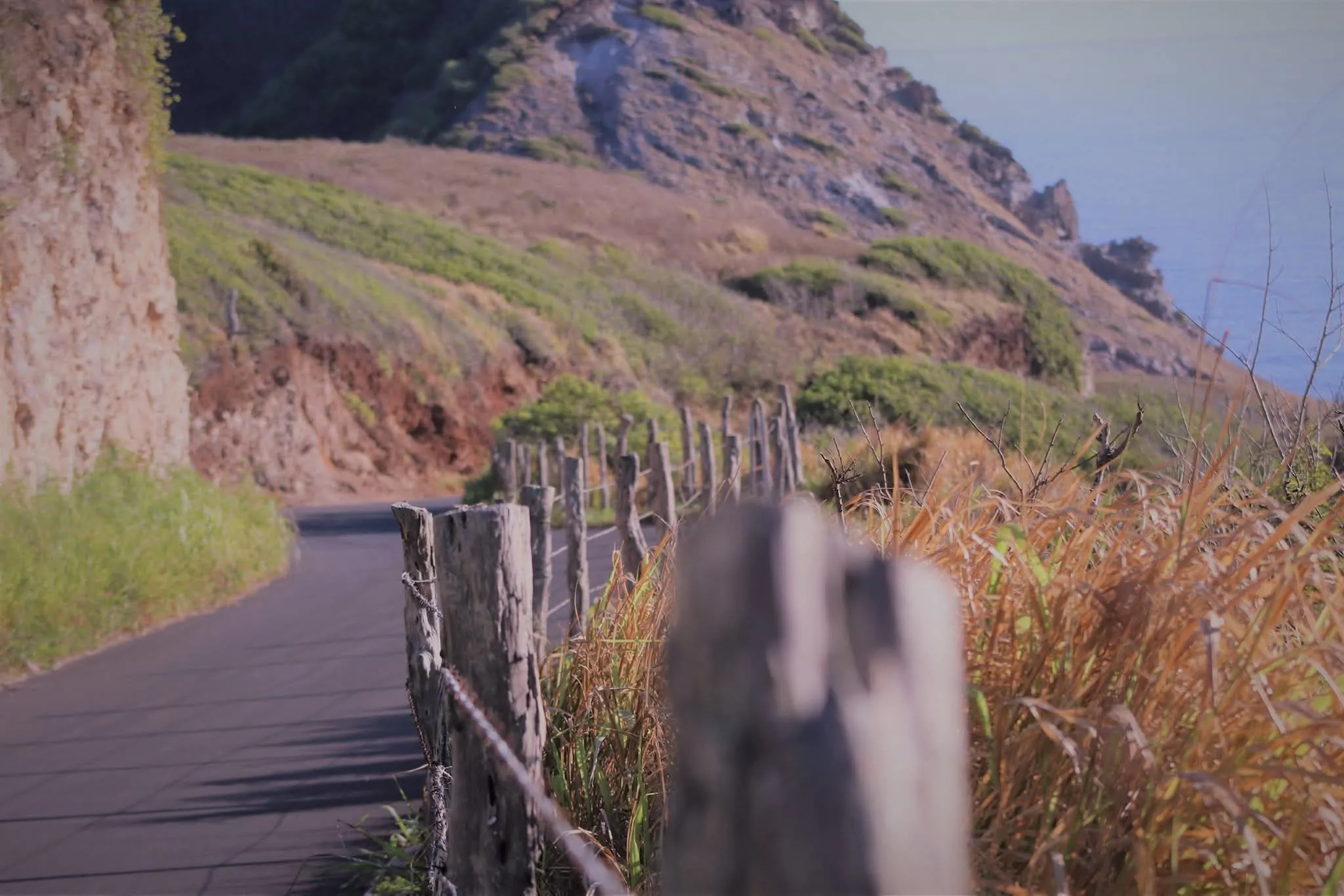 Hawaii Fence Line