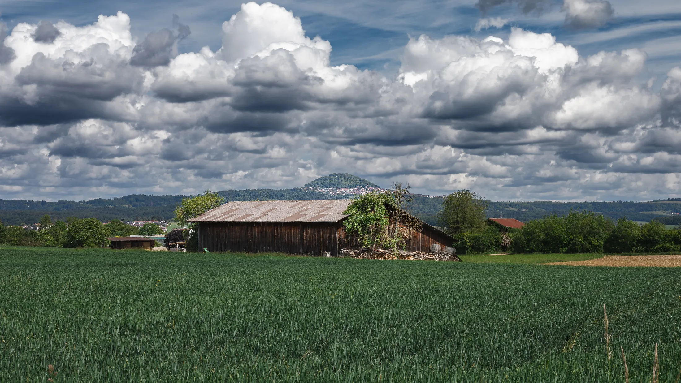 What's in the Shed?