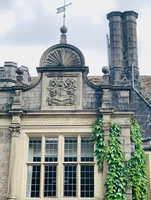 Ivy castle