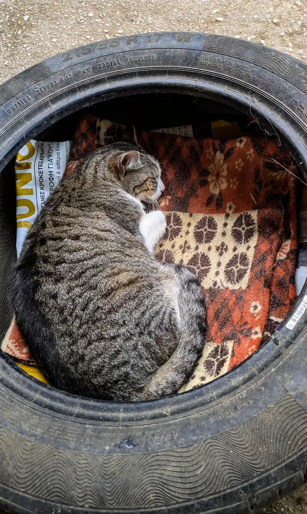 Nice And Snug