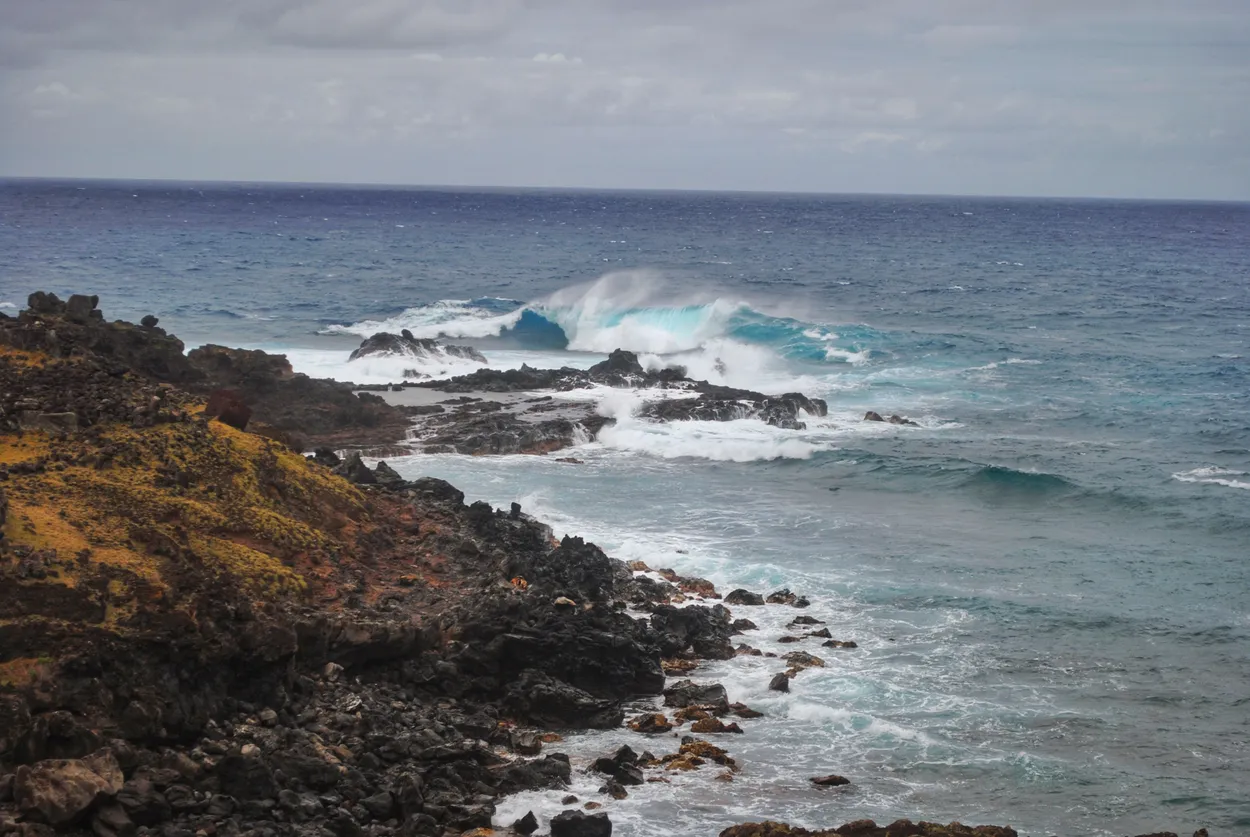 Crashing waves - wild and untamed