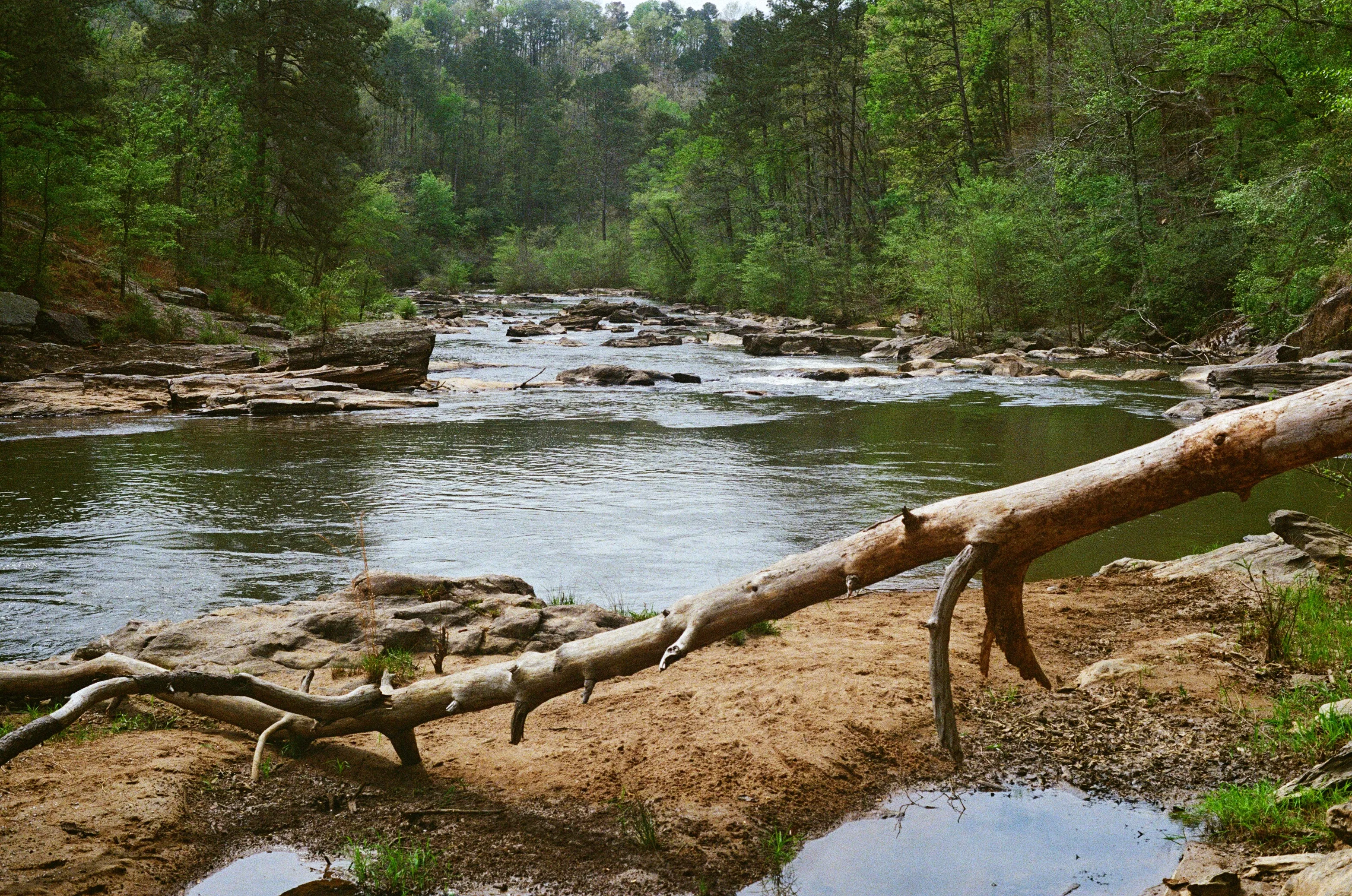 Sweetwater Creek