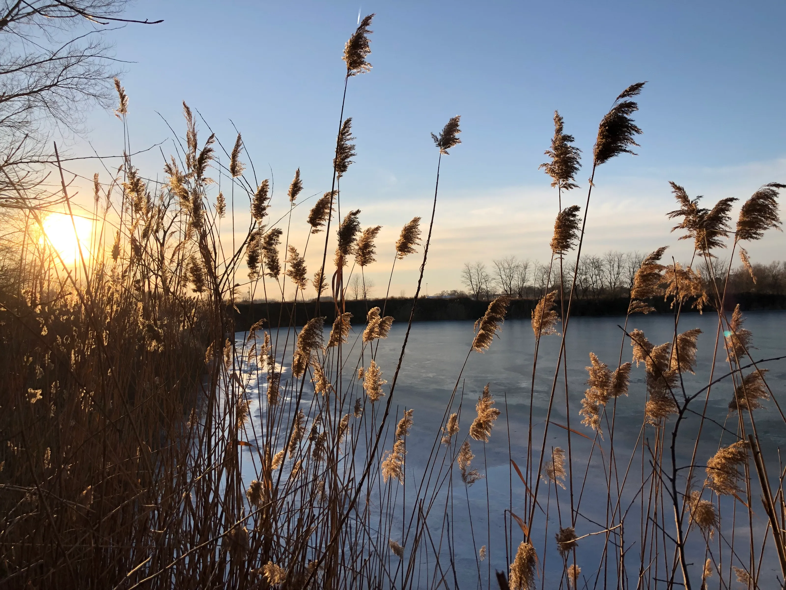 Winter Lake