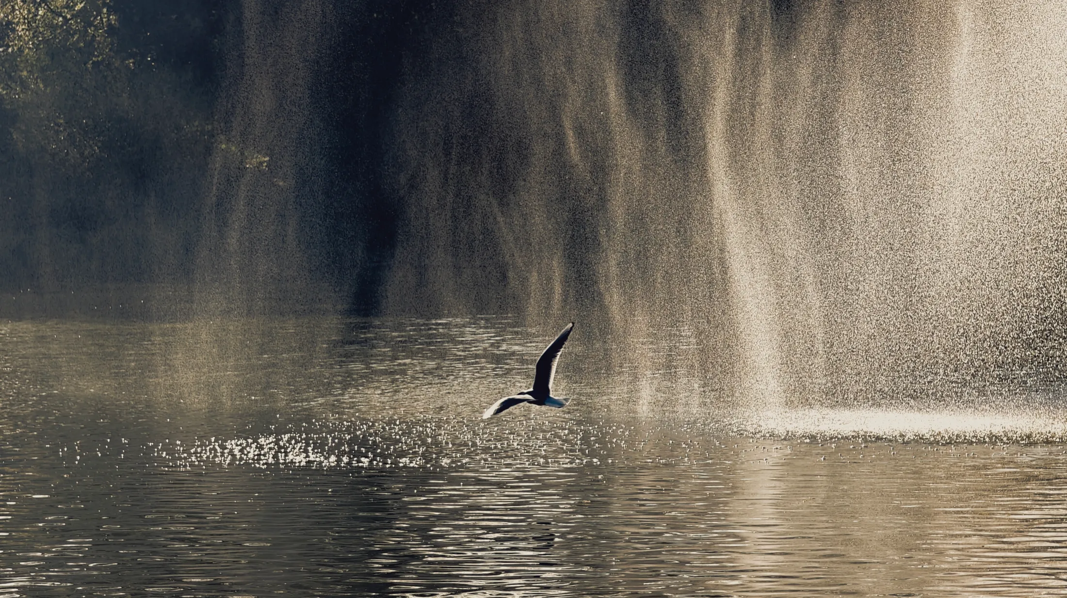 Flight through mist