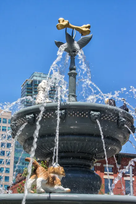 Top Portion of the Dog Fountain