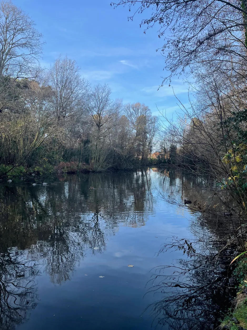 Pond life