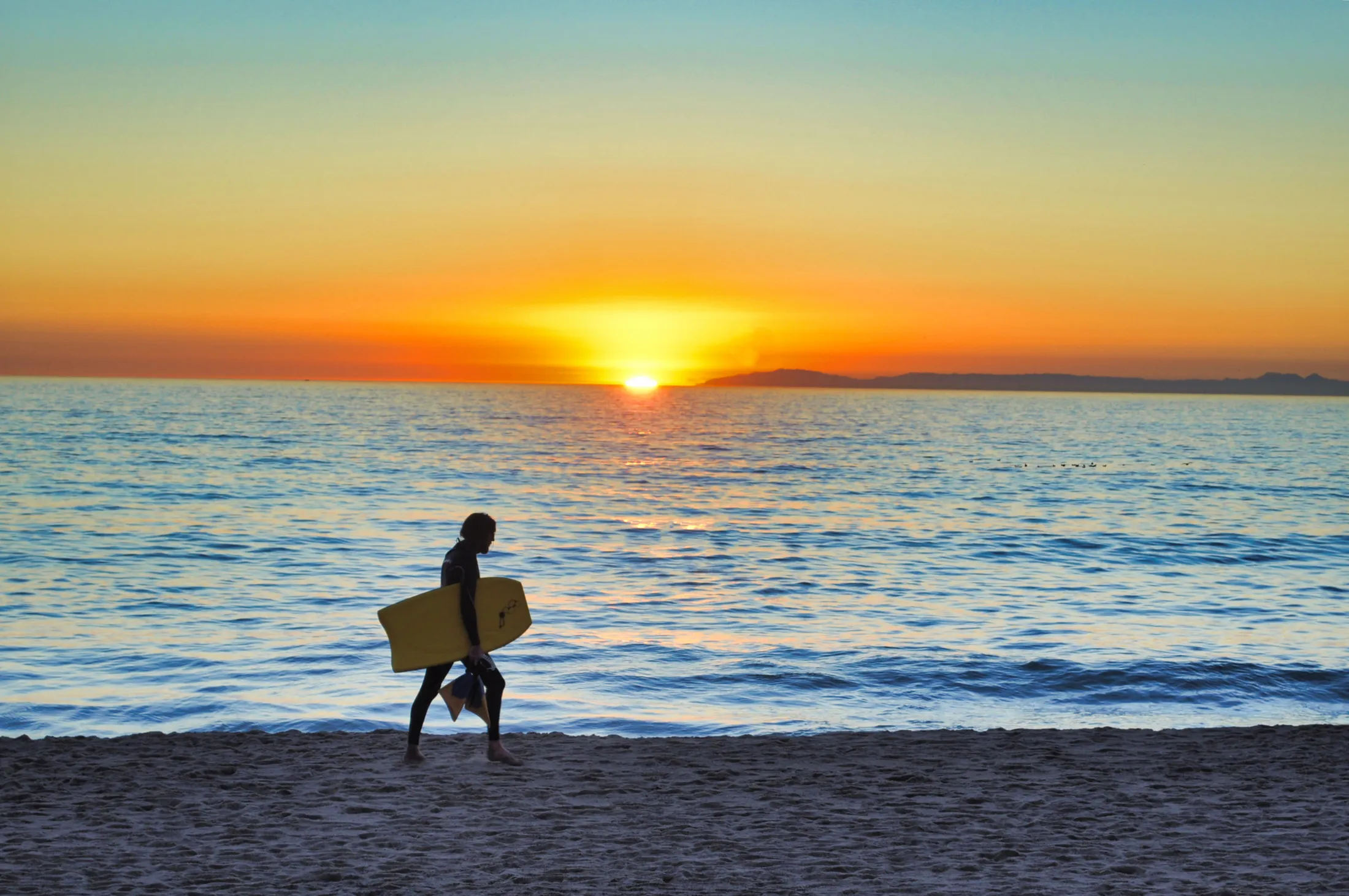 Surfer