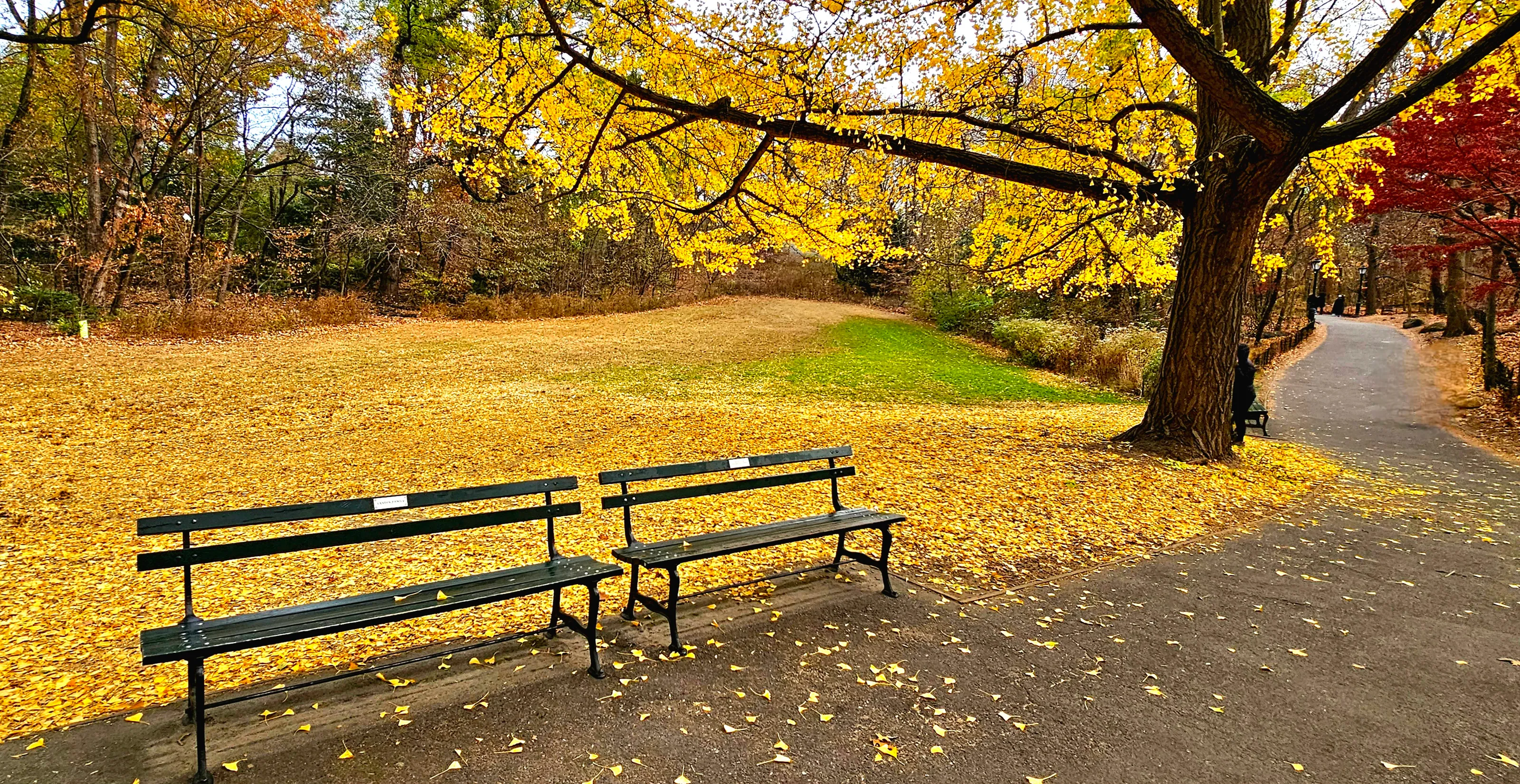 Empty Benches