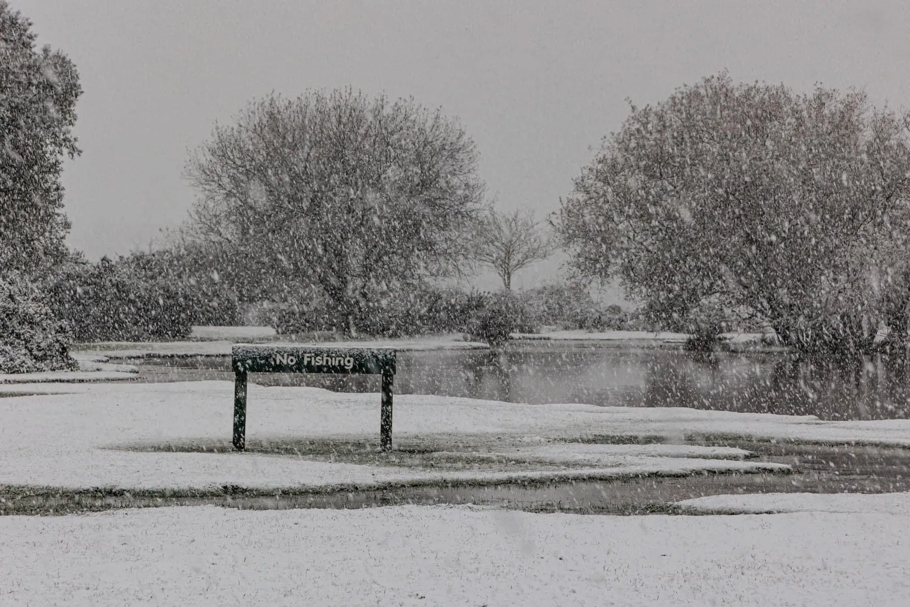 Snow scene