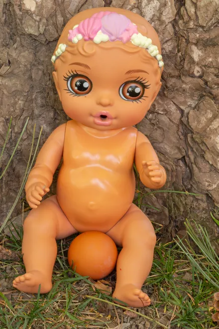 Egg Laying Baby of the Forest