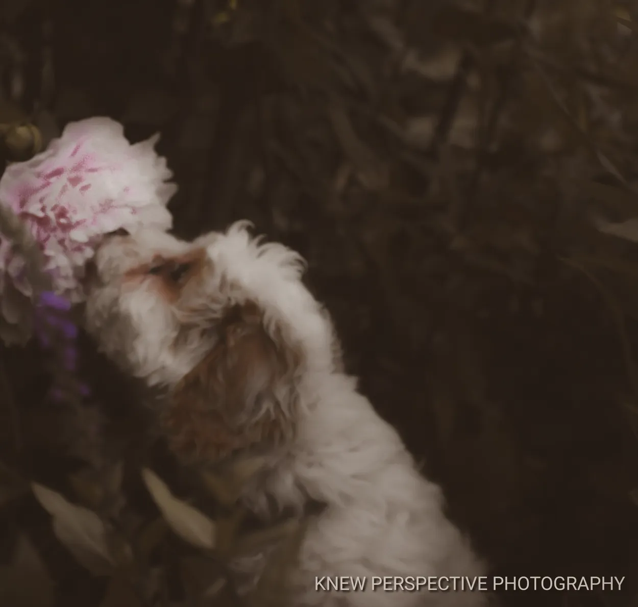 Stop and smell the flowers